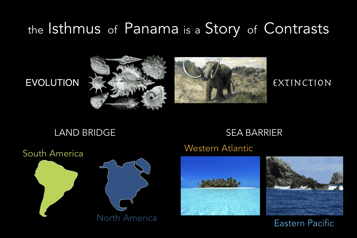 How the Isthmus of Panama Changed the World Istmobiome