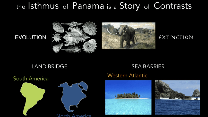 How the Isthmus of Panama Changed the World